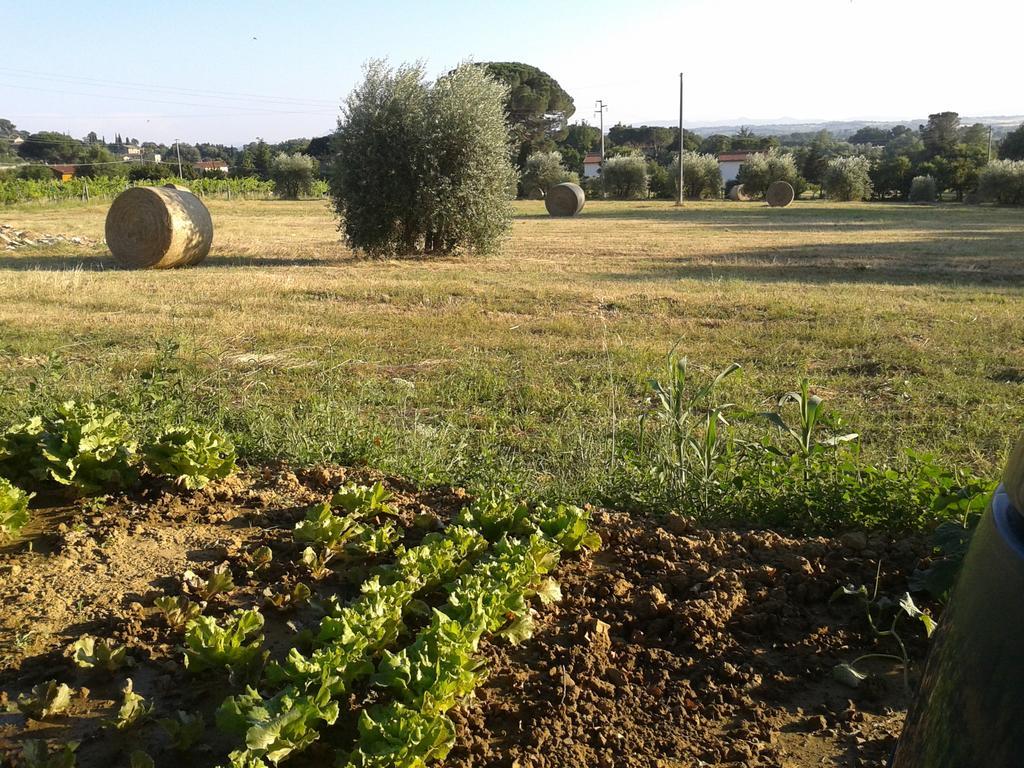 Bed & Breakfast Casa Soleluna *